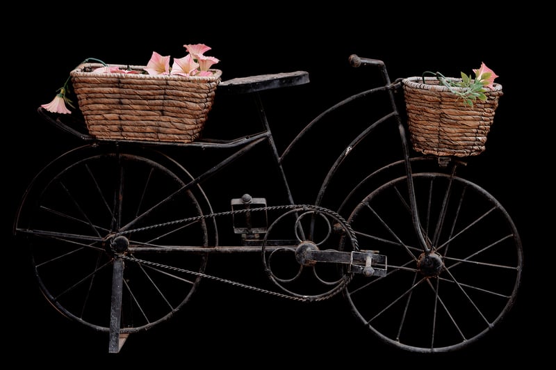 Upcycled Bicycle Planter